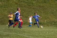 IMG-20210725-WA0005