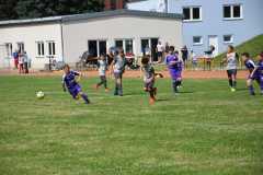 IMG-20210725-WA0007