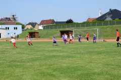IMG-20210725-WA0008