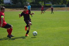 IMG-20230617-WA0016