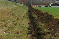 IMG-20210111-WA0005