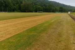 IMG-20210116-WA0003