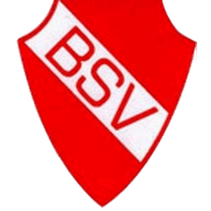 Bodelwitzer SV